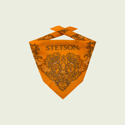 Bandana Paisley