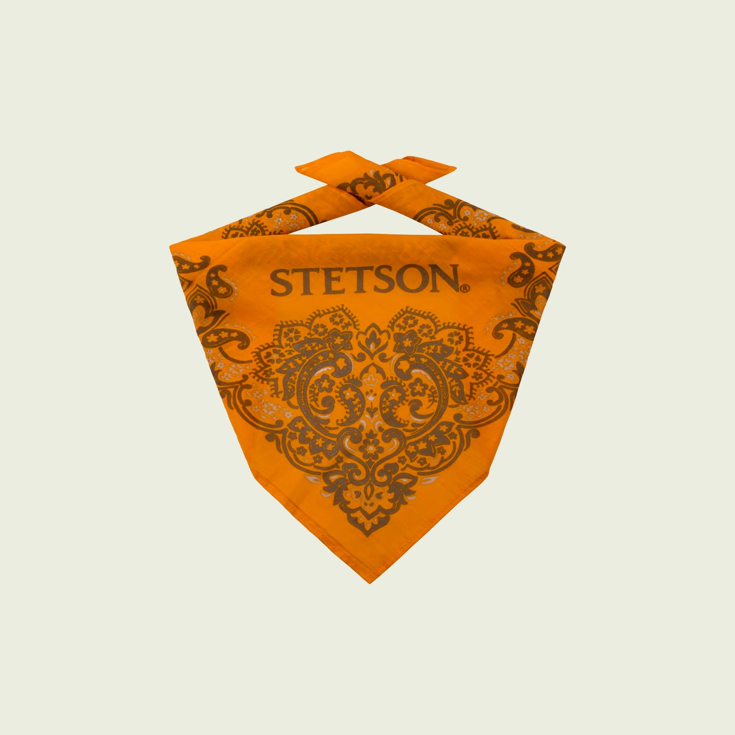 Bandana Paisley