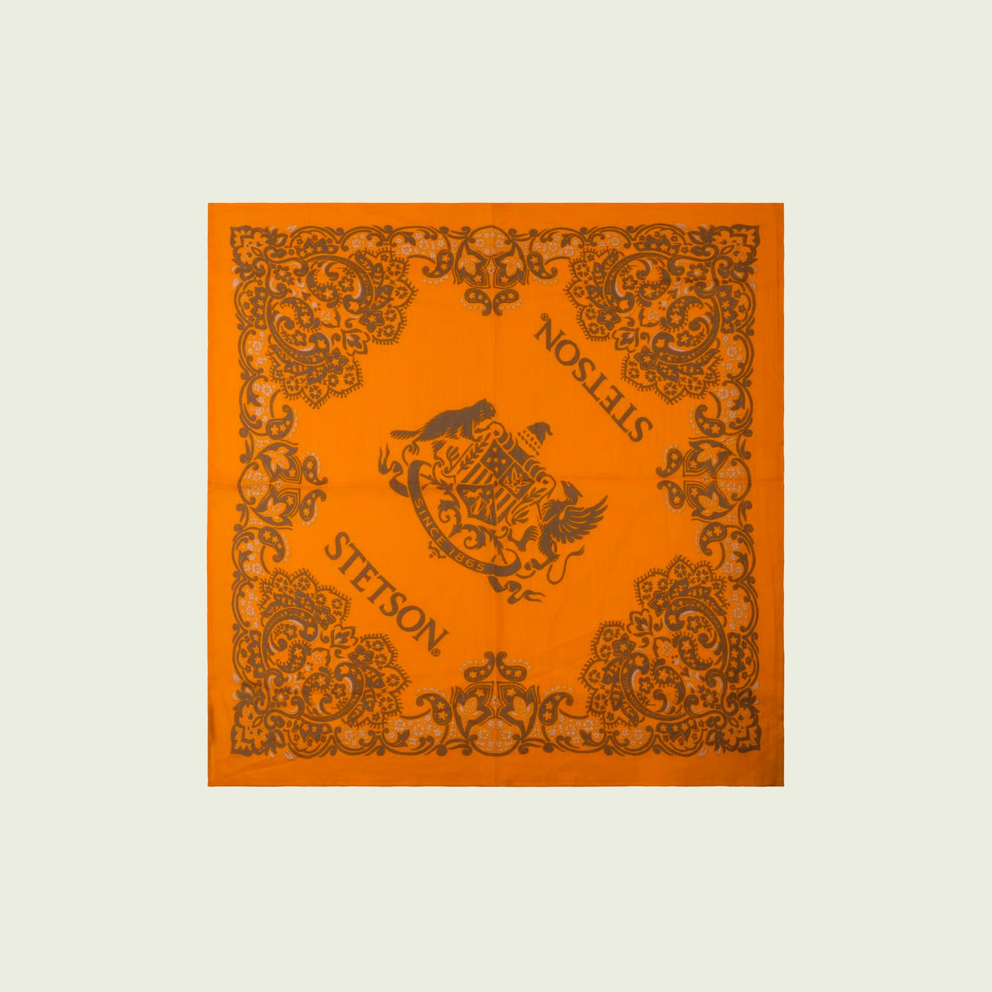 Bandana Paisley
