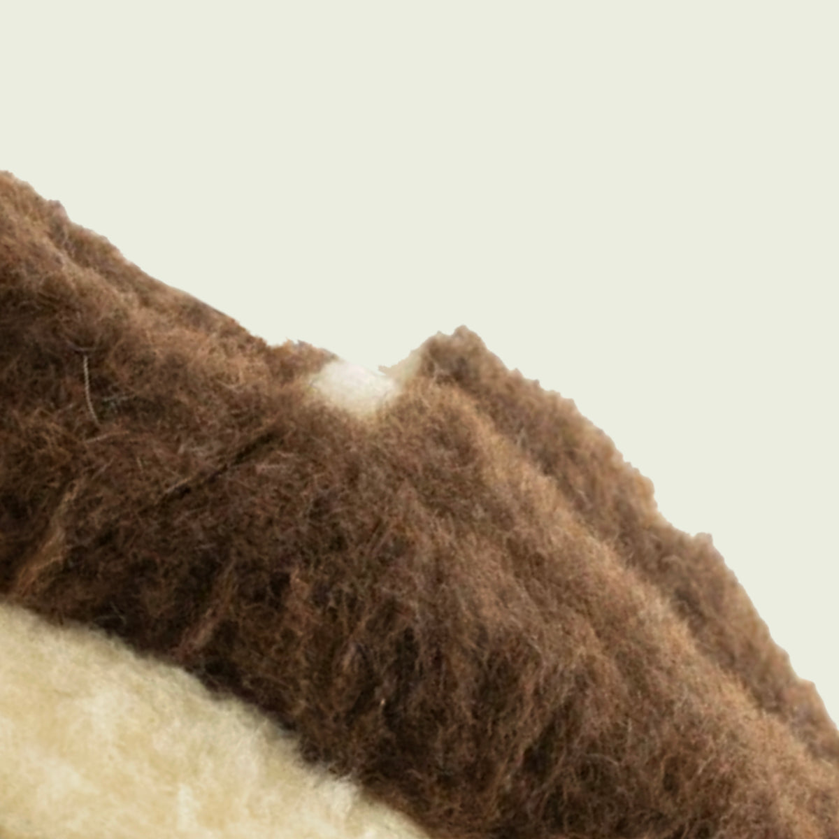 Siberian Dark Brown